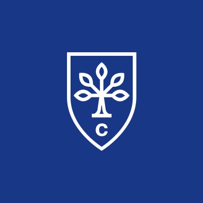 City Business School